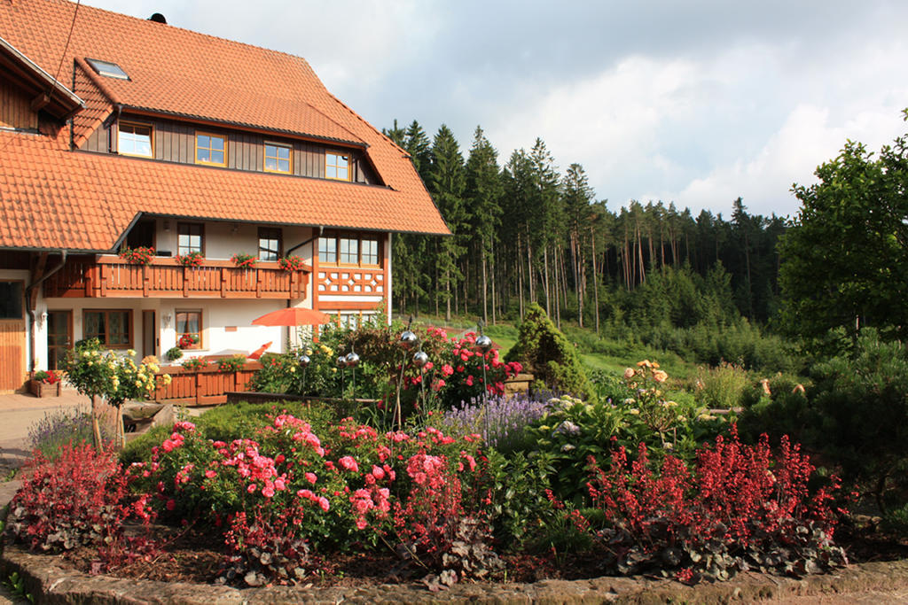 Schlosshof - Der Urlaubsbauernhof Villa Elzach Eksteriør billede